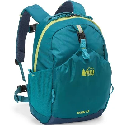 REI Co-op Tarn 12 Pack