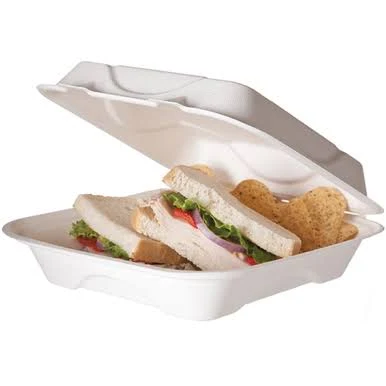 Bagasse Hinged Clamshell Containers 9 x 9 x 3 White Sugarcane 50/Pack