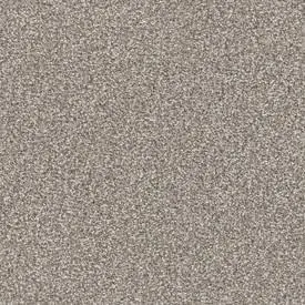 Masland Tracker 9692 Residential Carpet