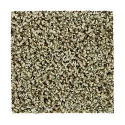 Mohawk Weston Bridle Frieze Carpet 12 ft. Wide