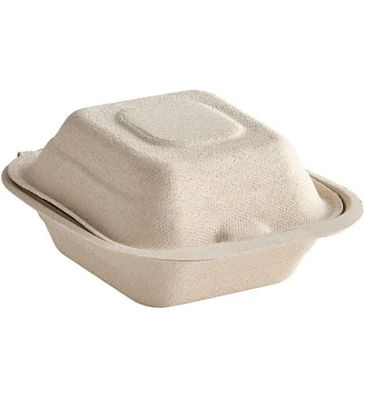 Dart ProPlanet Hinged Take-Out Container