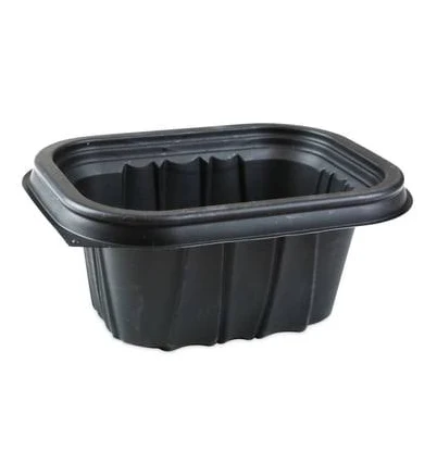 Pactiv EarthChoice Entree2Go Takeout Container
