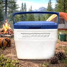 1990s Vintage Coleman Drink Lunch Camping Cooler 8Can Beige/Blue Throwback model 5274
