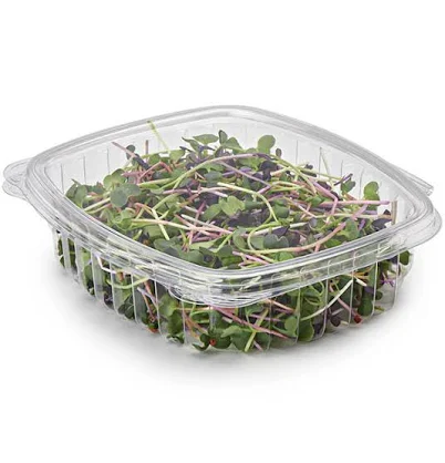 24 oz Compostable PLA Clear Clamshell Deli Containers w/Lids