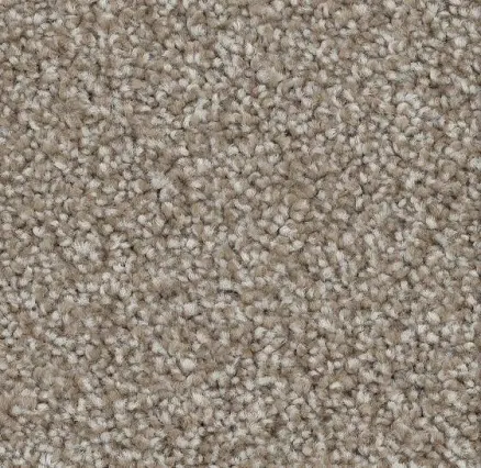 STAINMASTER Asher Toasted Oat Brown 39-oz sq yard Solution-dyed polyester Textured Indoor Carpet one_size