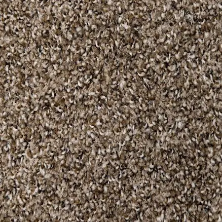 TrafficMASTER Truly Coffee Brown 12 ft. 16 oz. SD Polyester Texture Full Roll Carpet
