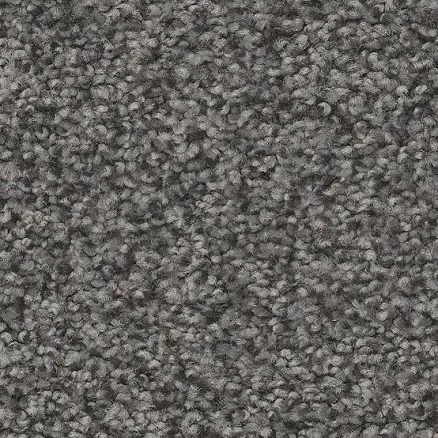 STAINMASTER 8-in x 8-in Ready 2 Play III 73.1-oz sq yard Nylon Textured Indoor Carpet 7L880