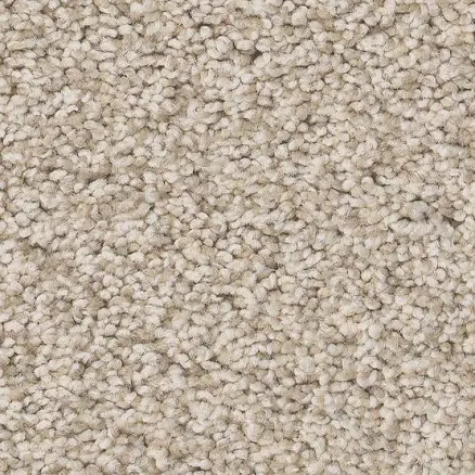 STAINMASTER 8-in x 8-in Ready 2 Play 45.8-oz sq yard Nylon Textured Indoor Carpet
