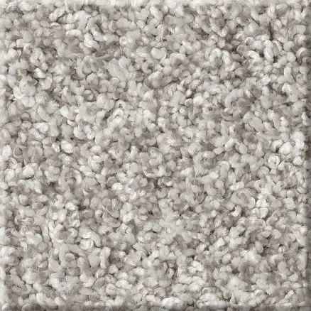 STAINMASTER 8-in x 8-in Impassioned II 68.3-oz sq yard Polyester Textured Indoor Carpet