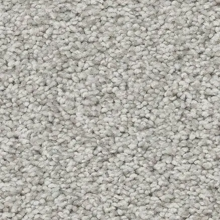 STAINMASTER 8-in x 8-in Ready 2 Play II 58.5-oz sq yard Nylon Textured Indoor Carpet 7L879 - 769 - SAMP