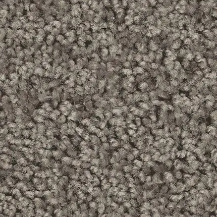 Style Selections Believer Shadow Gray Polyester Textured Indoor Carpet 7l91300502