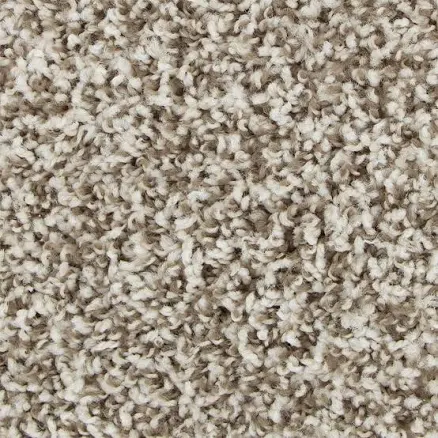 Style Selections Timeless Brown Polyester Textured Indoor Carpet