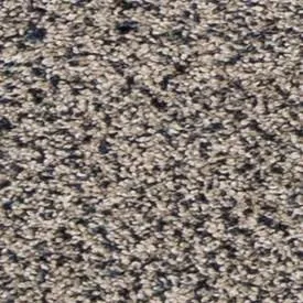 Mohawk Pet Premier Canine Comfort 3N78 Residential Carpet