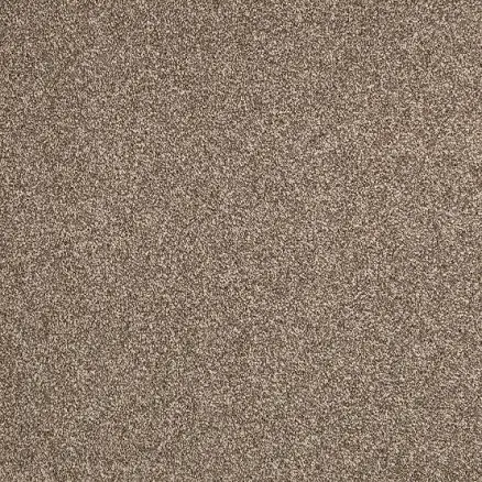 STAINMASTER Compelling Choice II Textured Indoor Carpet Polyester SS020-12-L