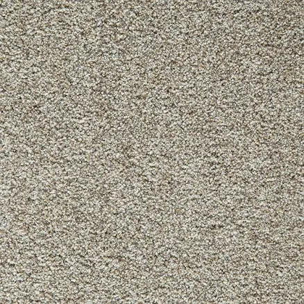 STAINMASTER PetProtect with LeakDefense Comforting Coat III CROSSROADS Brown 70-oz sq yard Polyester Textured Indoor Carpet one_size