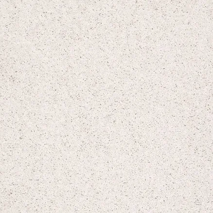 Shaw Cornerstone Batter Up Ii 12-Ft W X Cut-To-Length Textured Interior Carpet