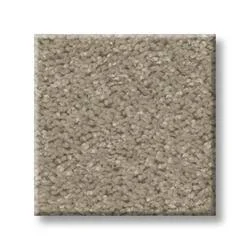 Shaw Huntington Vapor Plush Carpet 15' Wide