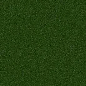 Shaw Philadelphia Performance Turf Free Time 5MM 54731 Indoor Outdoor Artificial Turf Carpet