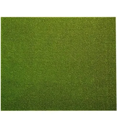 Lifeproof with Petproof Technology Premium Pet Turf Green Artificial Grass Rug