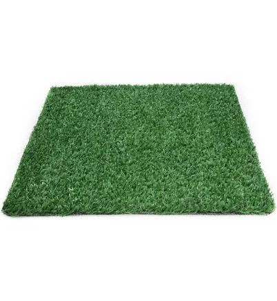 SeeGreen 5 ft. W X 7 ft. L Green Polypropylene Astroturf