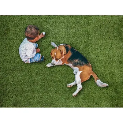 Select Surfaces Evergreen Artificial Grass