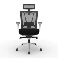 Autonomous ErgoChair Pro