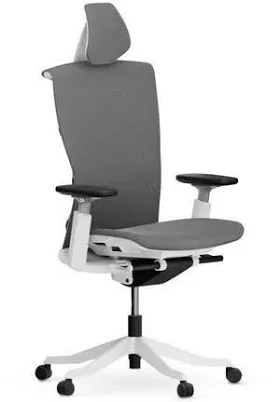 Autonomous ErgoChair Pro+ Green Mesh