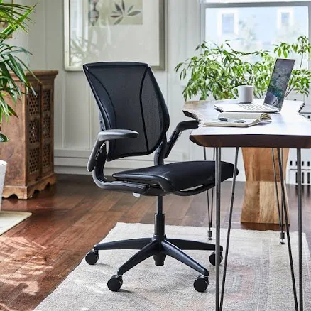 West Elm Humanscale World LM Task Chair