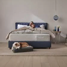 Casper Sleep Dog Bed, Plush Memory Foam, Small, Gray - Smooth touch finish, Free Shipping Worldwide