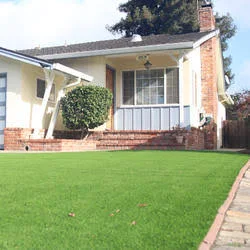 Global Syn-Turf ALLGREEN Star Grass 35 Emerald Green/Olive Green Indoor/Outdoor Turf 15 ft.