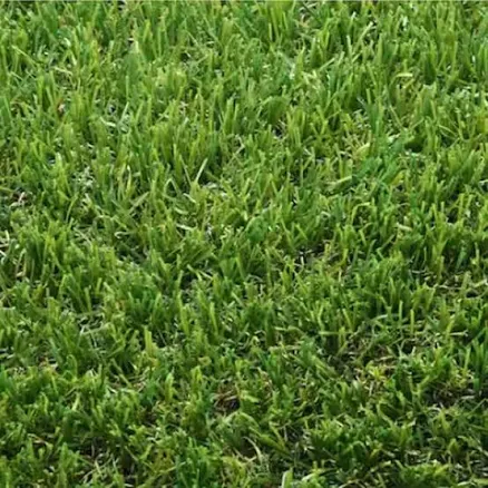TrafficMaster Heavyweight Emerald Green Artificial Grass Turf