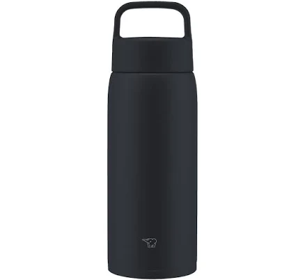 Zojirushi 27 oz. Stainless Mug/Water Bottle with Lid Handle