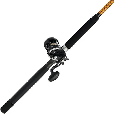 Ugly Stik Bigwater Rival Level Wind Combo
