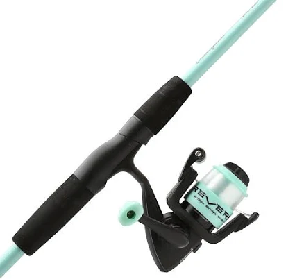 Shakespeare Reverb Spinning Combo