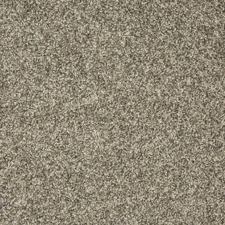 Lowe's Style Selections Dark Night Gray Textured Indoor Carpet