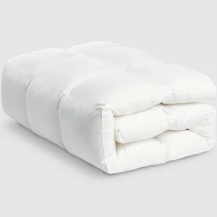 Coop Sleep Goods Essence Down Alternative Mattress Topper