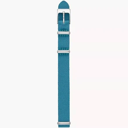 Skagen Watch Band